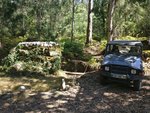 IMG_20190908_121418.jpg