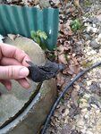 IMG_20210121_162232.jpg