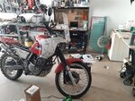 20201229_135119.jpg