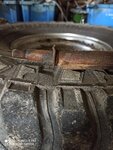 IMG_20200511_153622.jpg