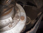 20210326_140157.jpg