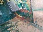 IMG_20161009_112944.jpg