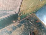 IMG_20161009_115817.jpg