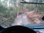 IMG_20161030_171728.jpg