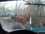 IMG_20161030_172139.jpg