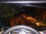 IMG_20161203_203443.jpg