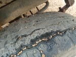 IMG_20210621_162523.jpg