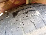 IMG_20210621_162533.jpg