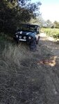 IMG_20210822_092359.jpg