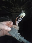 IMG_20200330_152028.jpg