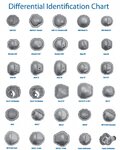 Differential-ID-Chart.jpg