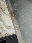 IMG_20211126_112459.jpg