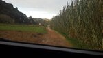 0E8943BC-8BA3-415A-AE4F-2051E556E7BB.jpeg