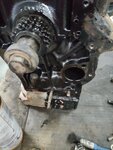 IMG_20220107_172406.jpg