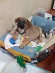 thumbnail_20201130_150328.jpg