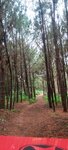 20220515_121150.jpg