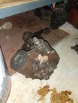 IMG_20220924_201846.jpg