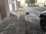 IMG_20221111_073517.jpg