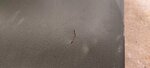 20230124_103842.jpg 20230124_103842.jpg
