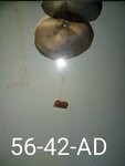 FB_IMG_1686607034129.jpg