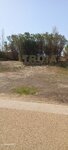 IMG-20230822-WA0002.jpg