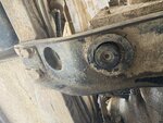 IMG_4537.jpeg