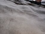 IMG_20240211_172357021.jpg