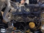 IMG_20240201_102315028.jpg