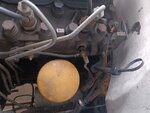 IMG_20240221_164941526.jpg