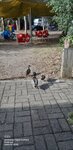20220612_082925.jpg