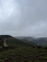 4A84D572-1915-470C-B6CA-C78EA209181A.jpeg