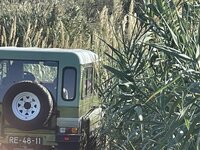 IMG_7359.jpeg