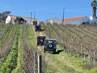 IMG_7348.jpeg