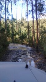 IMG-20241110-WA0022.jpg