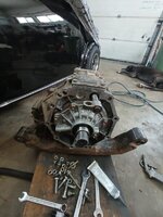 IMG_20240601_141352998.jpg