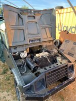 IMG_6246.jpeg