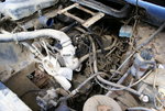 DSC00081.JPG