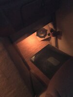 IMG_4965.jpeg