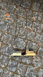 BB7DCBE2-5C07-4569-8A65-5CF28E2D32AA.jpeg BB7DCBE2-5C07-4569-8A65-5CF28E2D32AA.jpeg