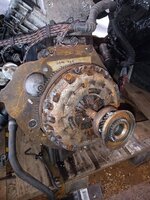IMG_20260310_131236152.jpg