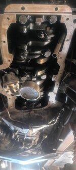 20240803_160812.jpg 20240803_160812.jpg