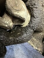 IMG_9189.jpeg