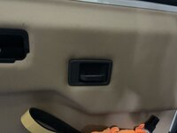 IMG_8368.jpeg