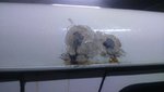 DSC_0001 (18).JPG DSC_0001 (18).JPG