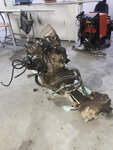 20200503_100456.jpg