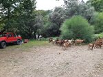 20200621_150722.jpg