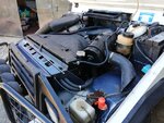 IMG_20200814_162913.1.jpg