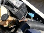 IMG_20200814_165258.1.jpg