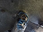 IMG_20200814_160856.1.jpg
