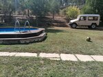 IMG_20200801_161957.jpg